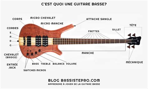 Guitare Basse Ou Basse électrique ⎪ ⎪cours De Basse