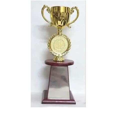 Golden Fibre Cup Wooden Trophy At Rs 125 Piece In Delhi Ss Trading