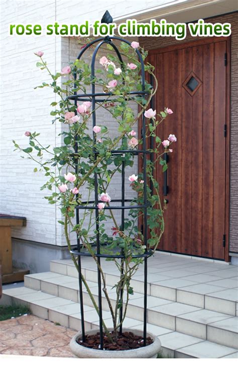 Receptacle Rose Climbing Frame Round Garden Rose Combination Support