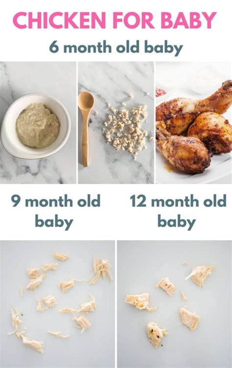 Chicken For Babies Blw Puree With Recipes Creative Nourish