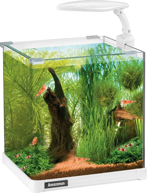 Nano Aquarium Zonder Filter Kirschblatt Aquarium