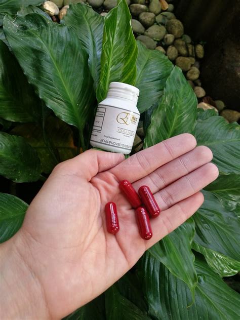 Elite Premium Collagen Capsule Review Talavera Garden Decor