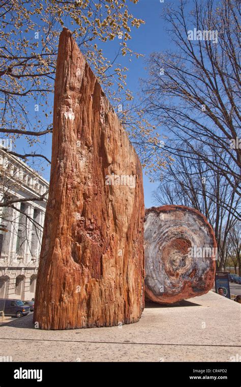 Display Of Petrified Wood Museumamerican Indian Museumsculptor