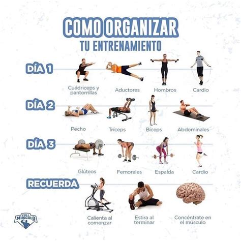 NO TIENES QUE IR TODOS LOS DIAS AL GYM Puedes Perfectamente Ir Tr