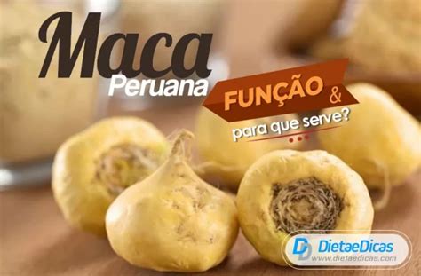 Maca Peruana Para Que Serve