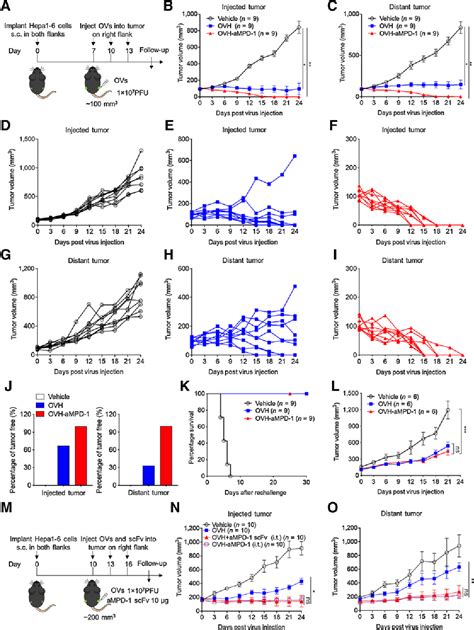 Figure 4 From Intratumoral Delivery Of A PD 1Blocking ScFv Encoded In