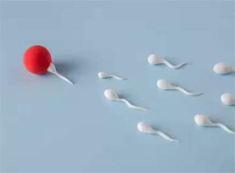 Scientists Identify Risk Factors That Damage Sperm Lead To Male