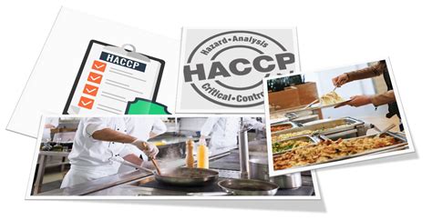 Formation Haccp Obligatoire En Ligne E Learning