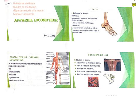 SOLUTION Anatomie Appareil Locomoteur 1 Studypool