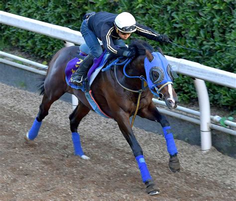 【神戸新聞杯】g1馬タイムフライヤー迫力十分！ いい時の状態見せた 競馬ニュース