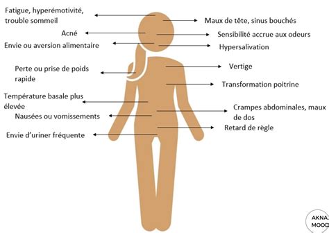 Premiers Sympt Mes De Grossesse Liste Des Signes Et Apparitions