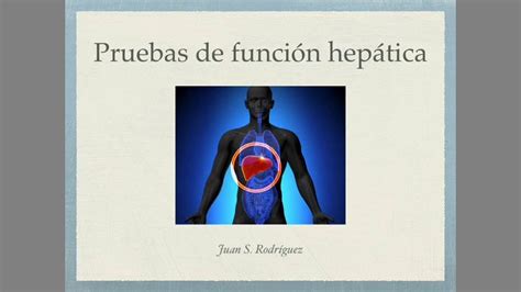 Funci N Hep Tica Pruebas De Laboratorio Las Claves Youtube