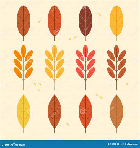 Set Herbstbl Tter Modische Farben Stock Abbildung Illustration