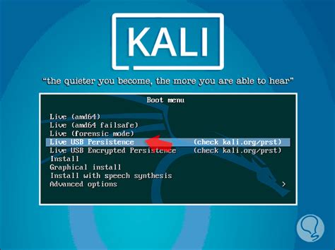 Cómo instalar Kali Linux en USB Persistente Solvetic