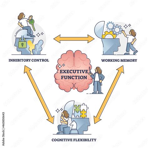 Executive Function Or Cognitive Control Vector Illustration Outline