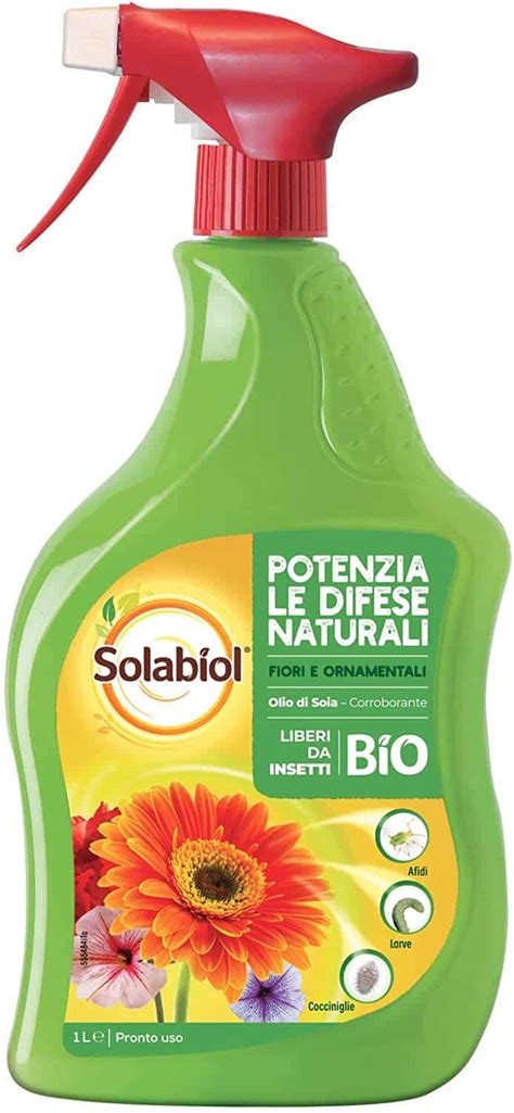 Solabiol Olio Bianco Un Orso In Campagna