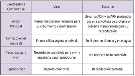 Virus Y Bacterias Características Y Diferencias