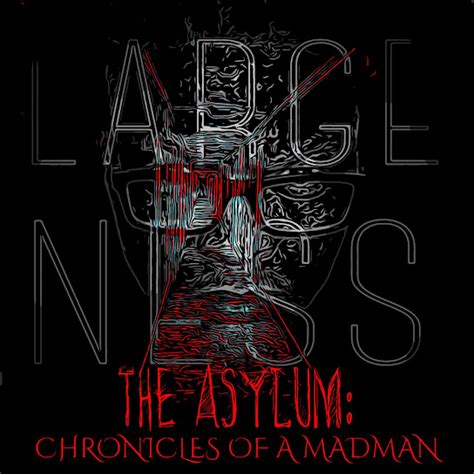 The Asylum Chronicles Of A Madman