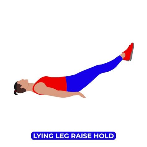 Premium Vector Vector Man Doing Lying Leg Raise Hold Bodyweight