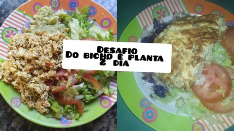 Desafio Do Bicho E Planta Youtube