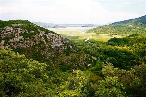 Flora I Fauna Nacionalnog Parka Skadarsko Jezero