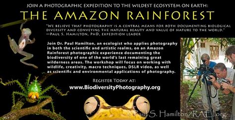 Amazon rainforest, Biodiversity, Ecosystems