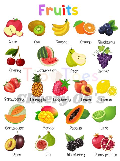 Fruits Chart 01A, 2024 | Kahve saati