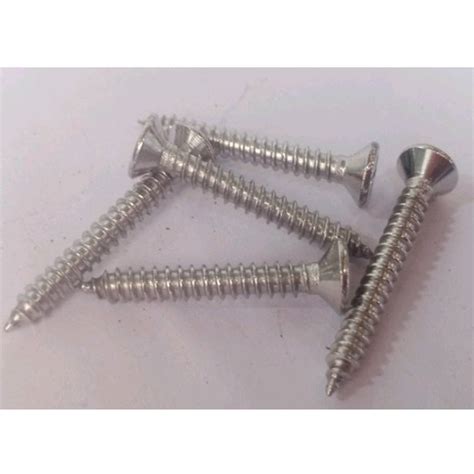 Material Stainless Steel Ss Self Tapping Screw Diameter Mm At Rs