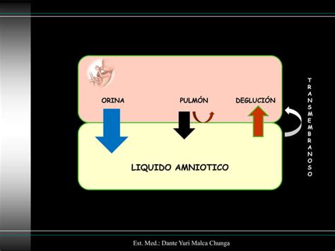 Polihidramnios Oligohidramnios Ppt