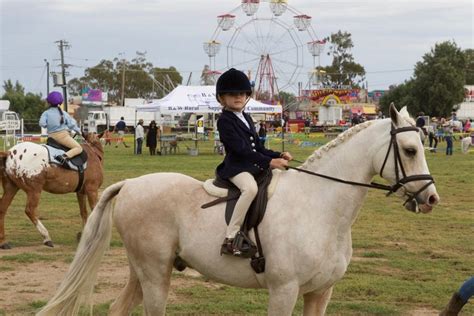 Goondiwindi Show - Goondiwindi Region