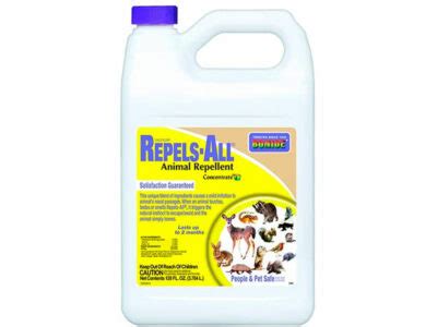 Best Chipmunk Repellents Updated Expert Review