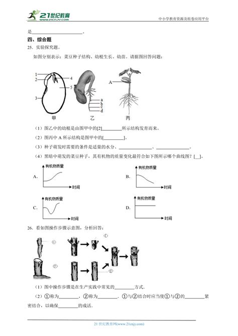 2023届济南版生物中考一轮复习训练卷十四 专题14 绿色开花植物的一生（含解析） 21世纪教育网