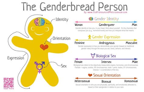 The Genderbread Person Version 2 Its Pronounced Metrosexual