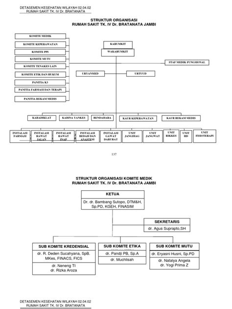 Struktur Organisasi Rs Pdf