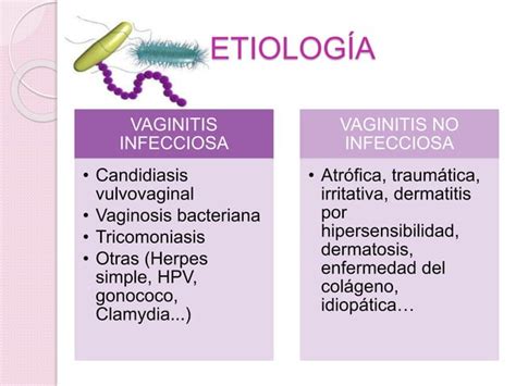 Vulvovaginitis PPT