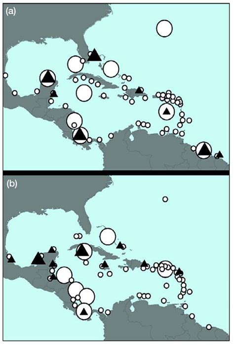 Nesting beach loss in Caribbean sea turtles. (a) Green turtles and (b ...