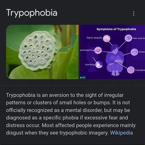 Trypophobia Symptoms Of Trypophobia Trypophobia Is An Aversion To The