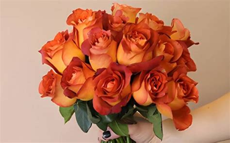 5 Benefits of Decorating with Bulk Roses - Topplanetinfo.com | Entertainment, Technology, Health ...