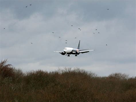 Hotly contested Lydd airport expansion given go-ahead by court | The Independent | The Independent