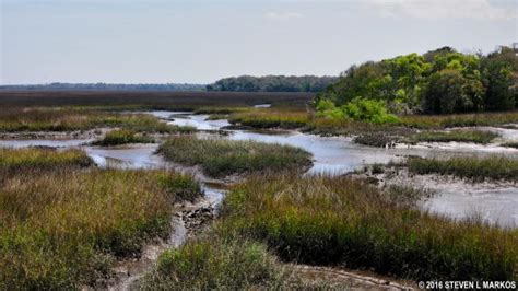 Timucuan Ecological and Historic Preserve | TIMUCUAN TRAIL