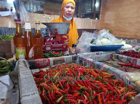 Makin Pedas Harga Cabai Di Bontang Tembus Rp 120 Ribu Per Kilogram