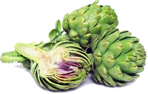 Artichokes Png Transparent Image Png Mart