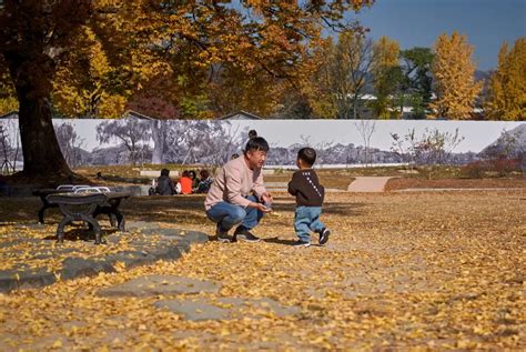 The Importance Of Dad And The Father Daughter Bond Daily Mom