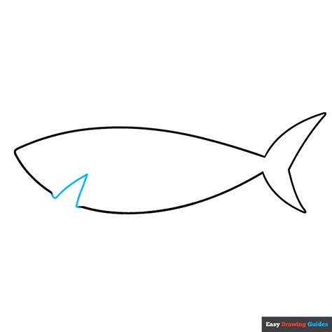 How to Draw an Easy Shark for Kids - Really Easy Drawing Tutorial