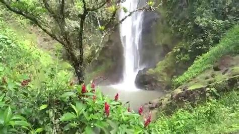 Top Costa Rica Tour Viento Fresco Best Waterfalls Liberia Hd Youtube