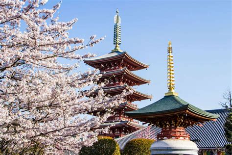 Tokyo Attractions That Are Simply Irresistible Tokyo Times Of India