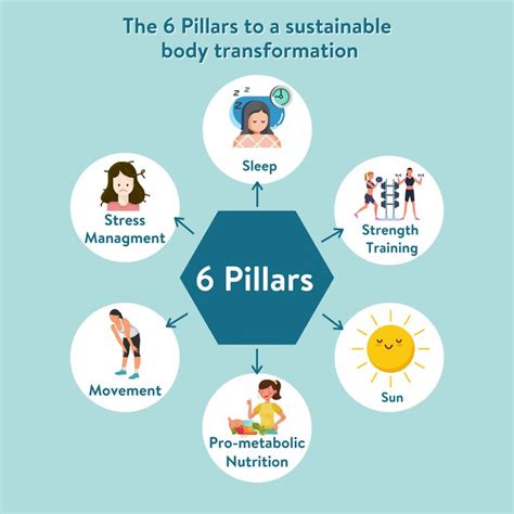 The Pillars To A Sustainable Body Transformation