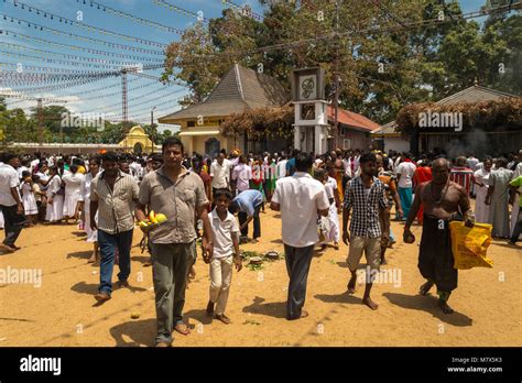 Kataragama Perahera Festival Hi Res Stock Photography And Images Alamy