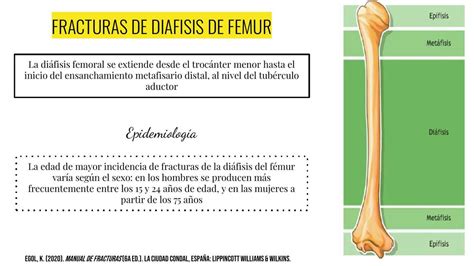 Resúmenes De Fractura De Fémur Descarga Apuntes De Fractura De Fémur