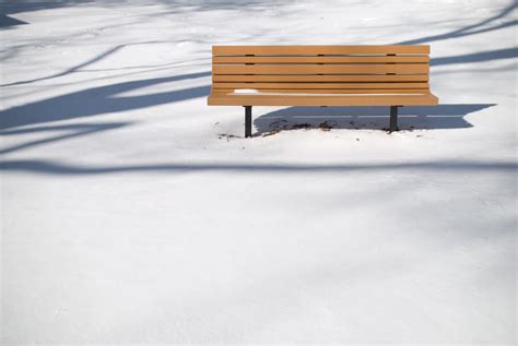 Lonely Park Bench From A Lunchtime Walk The Day After The Flickr